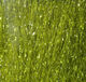 Preview image of product Finesse Fiber #263 Olive
